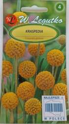 Kraspēdija