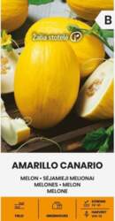 Melone Amarillo Canario