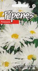 Pīpenes crazy daisy
