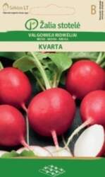 REDĪSI KVARTA