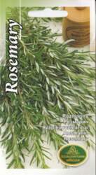 Rozmarīns