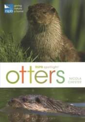 RSPB Spotlight: Otters