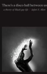 There`s a Disco Ball Between Us: