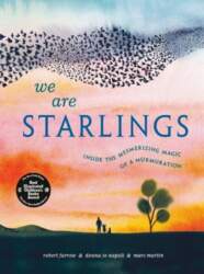 We Are Starlings: Inside the Mesmerizing