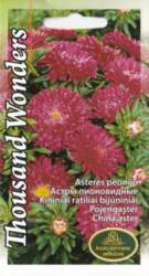Asteres thousand wonders red