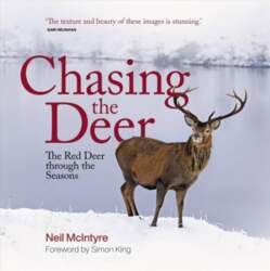 Chasing the Deer: The Red Deer