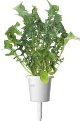 Click & Grow SGR19X3