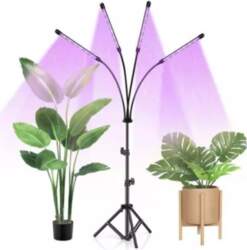 Dārza gaisma 80 LED