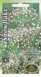 Ģipsenes snowflake