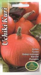 Ķirbji uchiki kuri
