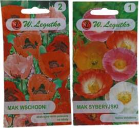 Magones W. Legutko