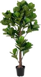 Mākslīgais koks Ficus
