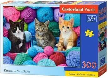 Puzzle 300 gab