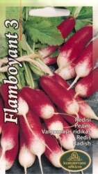Redīsi flamboyant 3