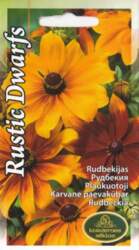 Rudbekijas rustic dwarfs