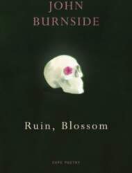 Ruin, Blossom: A master of language
