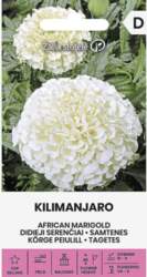 Samtenes Kilimanjaro