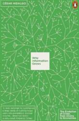 Why Information Grows: The Evolution of