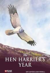 Hen Harrier`s Year