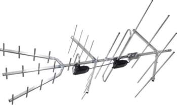 LechPol ANT0008