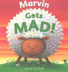 Marvin Gets MAD!