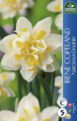 Narcises Irene Copland