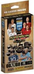 Panini FIFA 365 2025 – Combo