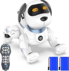 Radiovadāms robotsuns RC
