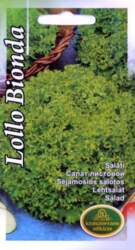 Salāti Lollo Bionda