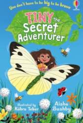 Tiny, the Secret Adventurer