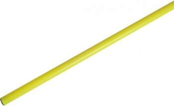Treniņu stabs Select, 160 cm