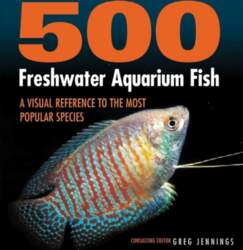 500 Freshwater Aquarium Fish: A Visual