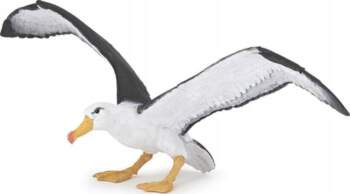 Albatros - PAPO