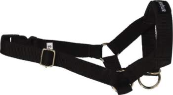 Amiplay apkakle Basic, XL, melna