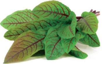 Click & Grow SGR33X3