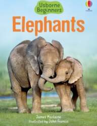 Elephants