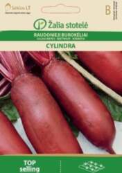 GALDA BIETES CYLINDRA