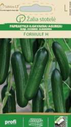 GURĶI FORMULE H