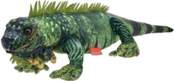 Iguana 72cm - Beppe