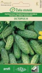 ĪSAUGĻU GURĶI OCTOPUS H