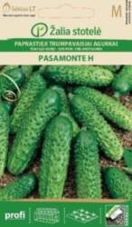 ĪSAUGĻU GURĶI PASAMONTE H