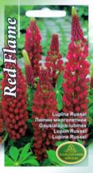 Lupīnas