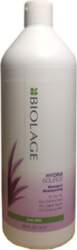 Matu mitrinošs šampūns Matrix Biolage Hydrasource