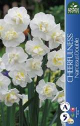 Narcises Cheerfulness