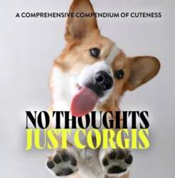No Thoughts Just Corgis: A Comprehensive