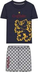 Pajama Bērnu Harry Potter Pelēks, 6