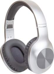 Panasonic RB-HX220BDES