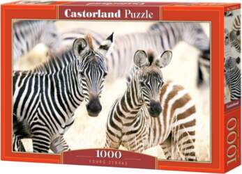 Puzle Zebras, 1000 d.