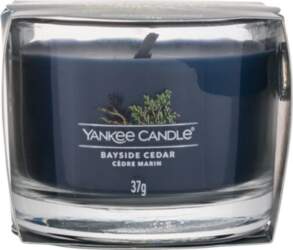 Yankee Candle Bayside Cedar Mini Candle