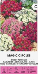 ALISES MAGIC CIRCLES